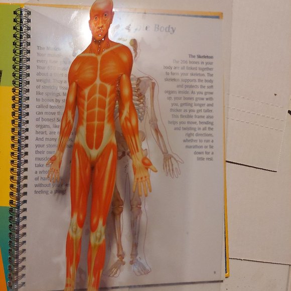 The Human Body Book - Picture 6 of 7